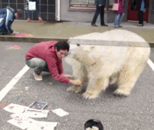 男巫在大街上画北极熊